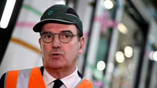 Trains de nuit, TGV: Jean Castex convainc le Parlement pour piloter la SNCF