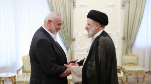 Leader Hamas, 'l'Iran continuer&agrave; a sostenere la Palestina'