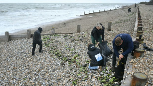 Una ola llena de pl&aacute;tanos llega a las costas inglesas 