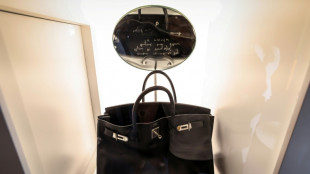 Otro bolso Birkin que perteneci&oacute; a Jane Birkin fue subastado por 2,8 millones de d&oacute;lares en Abu Dabi