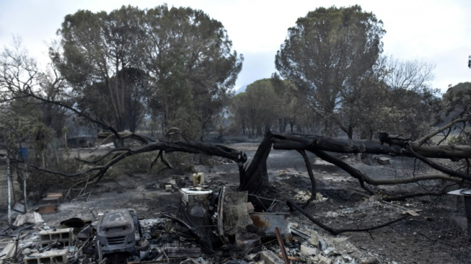 Miles de campistas evacuados por un incendio en el sudeste de Francia, cerca de Espa&ntilde;a