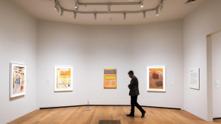 Un bimbo danneggia un dipinto di Rothko da 50 milioni in Olanda