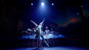 Lago dei Cigni con intelligenza artificiale in scena a Roma