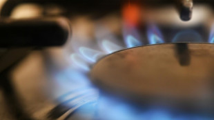L'Espagne, t&ecirc;te de pont alternative pour l'approvisionnement en gaz de l'UE?