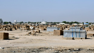 Refugiados nigerianos regresan a basti&oacute;n del Estado Isl&aacute;mico