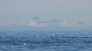 'Trying to bury the science': US climate research under siege