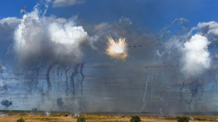 Russland und Belarus beginnen gemeinsames Militärmanöver