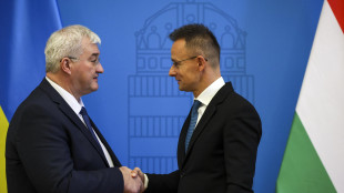 Budapest, 'se Ucraina nella Nato ora &egrave; guerra mondiale'