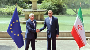 Ir&aacute;n y la UE acuerdan reanudar pr&oacute;ximamente las conversaciones sobre el tema nuclear