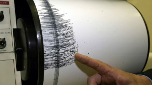 Giappone, terremoto di magnitudo 4.9 a nord di Tokyo