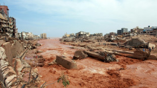 Libya flood relief hampered by 'turf wars' and division