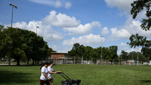 Batalla de Trump por control del Congreso fragmenta a minorías en Texas