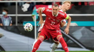 Le capitaine russe Dzyuba pas convoqu&eacute; &agrave; cause de "la situation en Ukraine" 