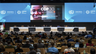 Cop30, il Brasile chiederà più fondi Onu per le delegazioni