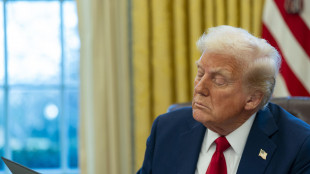Usa, giudice sospende divieto Trump ai transgender nell'esercito