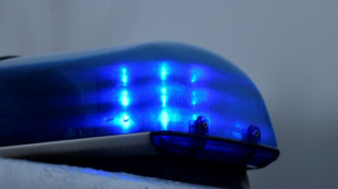 Weitere Razzia bei rechtsextremer Zelle "Letzte Verteidigungswelle"