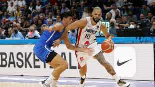 Eurobasket-2022: toiles et bonne &eacute;toile des Bleus, &agrave; l'arrach&eacute; en demie