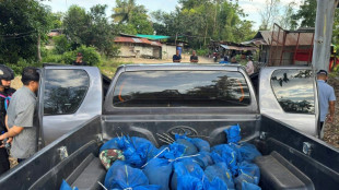 Dos hombres arrestados en Tailandia por transportar 81 macacos y metanfetamina