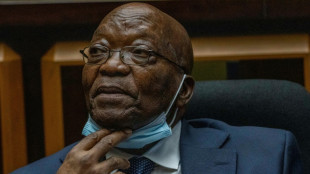 Corruption en Afrique du Sud: l'&egrave;re Zuma pass&eacute;e au crible par quatre ans d'enqu&ecirc;te