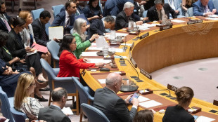 Domani riunione Consiglio Onu su piano Israele a Gaza
