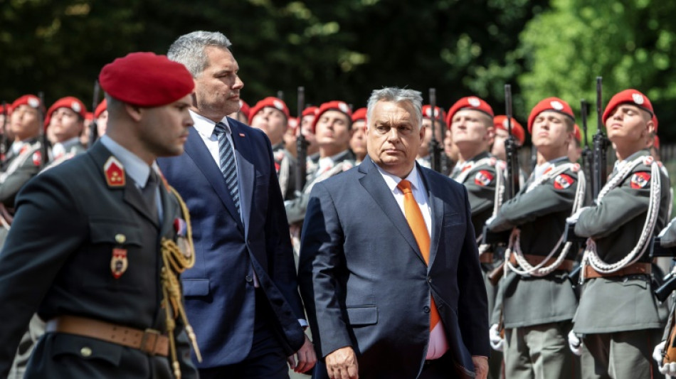 Viktor Orban &agrave; Vienne apr&egrave;s le toll&eacute; sur "le m&eacute;lange des races"