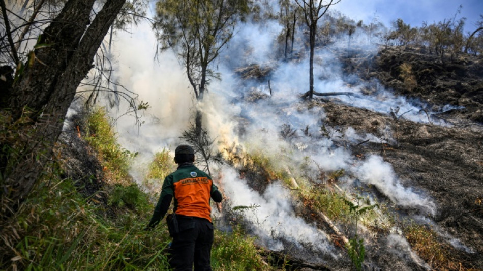 Indonesia closes national park as wildfire spreads