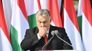 Orban acusa a la UE de bloquear fondos para Hungr&iacute;a por "razones pol&iacute;ticas"