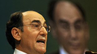 Archivan la causa por espionaje contra el expresidente de la espa&ntilde;ola Iberdrola