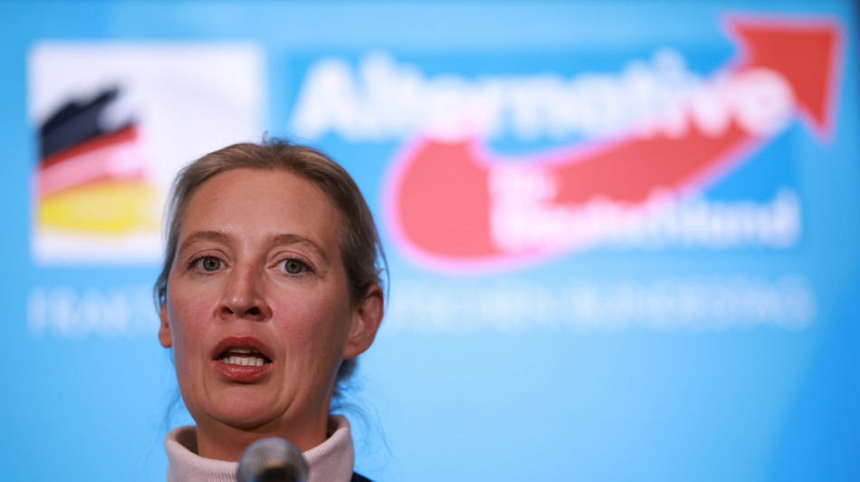 Afd raggiunge l'Unione di Merz nei sondaggi, prima volta