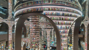 China apuesta por librer&iacute;as espectaculares para atraer selfis y visitantes