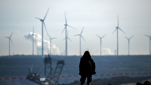Not nothing, not enough: is the Paris Agreement working?