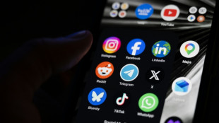 Experten fordern &Auml;nderungen an Social Media statt Verbot