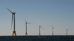 Les ench&egrave;res pour des &eacute;oliennes en mer aux Etats-unis d&eacute;passent 1,5 milliard de dollars