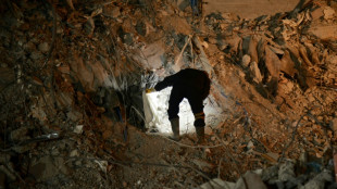 De l'aide attendue en Syrie depuis la Turquie apr&egrave;s le s&eacute;isme, plus de 17.500 morts