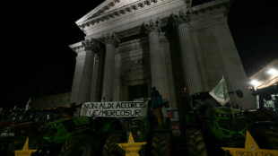 Semanas decisivas en Bruselas para el acuerdo comercial UE-Mercosur