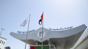 Gli Emirati Arabi escono dall'Opec e Opec+, nuova strategia