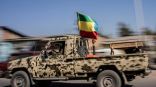 Ethiopie : l'UA r&eacute;clame un cessez-le feu, les rebelles du Tigr&eacute; "pr&ecirc;ts &agrave; le respecter"

appelle les bellig&eacute;rants &agrave; "se r&eacute;engager" dans la paix