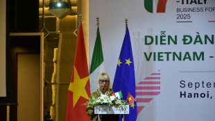 Vice ministro Imprese e Made in Italy al Forum Italia-Vietnam