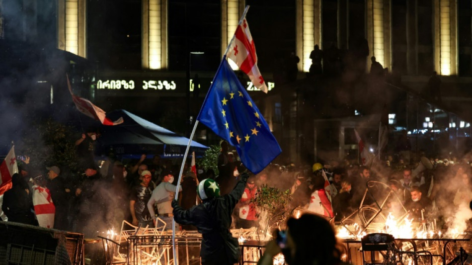 Georgia PM vows sweeping crackdown after 'foiled coup'