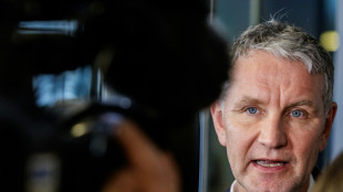 Vor Kommunalwahl in Bayern: Gericht kippt Redeverbote f&uuml;r AfD-Politiker H&ouml;cke