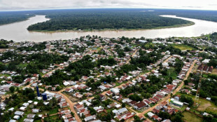Se reanuda b&uacute;squeda de periodista brit&aacute;nico y experto desaparecidos en Amazon&iacute;a