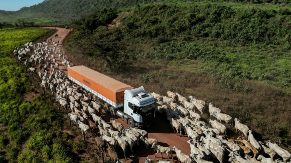 What to know about the EU-Mercosur deal