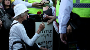 Cinco personas detenidas en Reino Unido antes de una acción de apoyo a Palestine Action