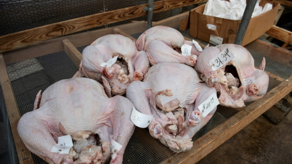 Grippe aviaire et inflation mettent au r&eacute;gime les tables de f&ecirc;te des deux c&ocirc;t&eacute;s de l'Atlantique
