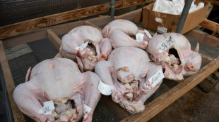 Grippe aviaire et inflation mettent au r&eacute;gime les tables de f&ecirc;te des deux c&ocirc;t&eacute;s de l'Atlantique