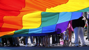 Consiglio d'Europa, l'Ungheria non limiti i diritti Lgbti