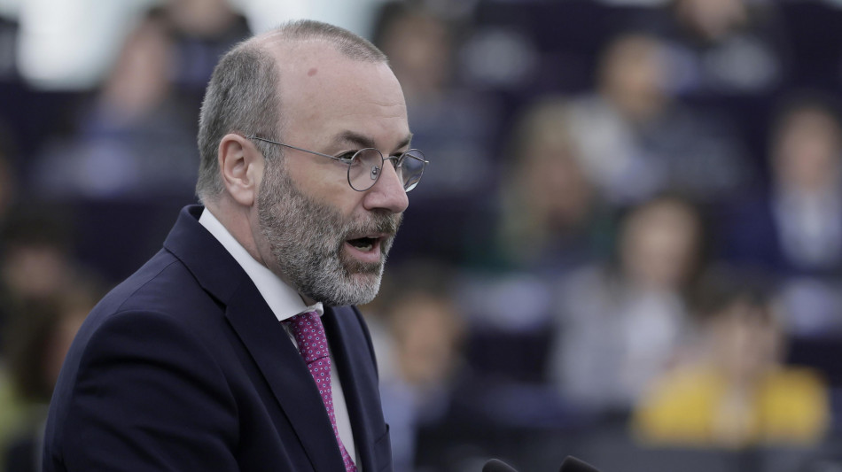 Weber, 'sostengo la visita di Meloni in Usa, difende l'Ue'