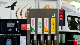 TotalEnergies maintient le plafond du prix de l'essence dans ses stations, rel&egrave;ve celui du gazole