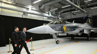 Ukraine könnte bis zu 150 Gripen-Jagdbomber von Schweden kaufen