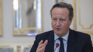 Cameron: Hamas accetti accordo, cos&igrave; finiranno i combattimenti